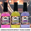 Kit 9 Cheirinho Spray 100ml para Carro | Odorizador e Aromatizante | Perfume Automotivo | Carro Novo